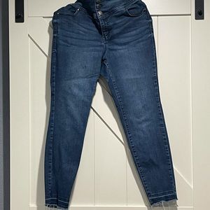 Lane Bryant Jegging.